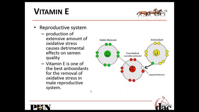 June 2020 dac® Vitamins and Minerals Dealer Webinar - смотреть онлайн