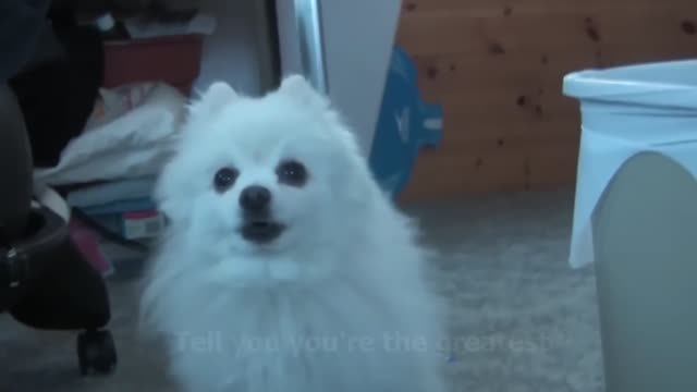 Gabe The Dog - Enemy