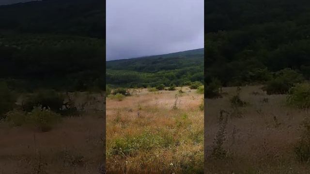 Потоп в Старом Крыму 27.06.2022. Уникальный разлив горных пересыхающих рек смотреть онлайн