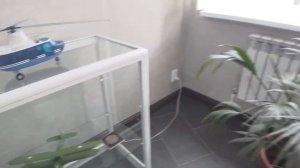 прогулка по городу Минеральные воды