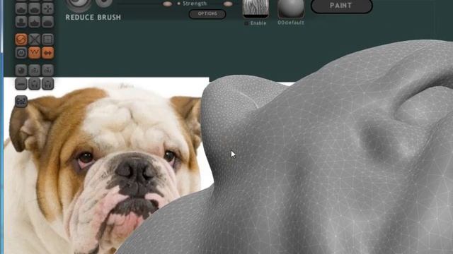 Sculptris собака бульдог и раскрасить урок № 4 смотреть онлайн