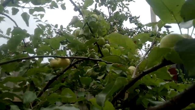 Строительные Мнения