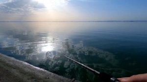 Поехал за щукой, наловил карасей. Варнавинское водохранилище.