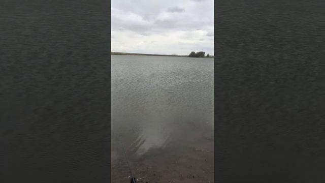 Рыбалка Новониколаевка смотреть онлайн