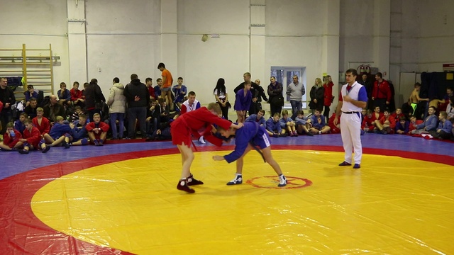 Турнир по самбо памяти сещинских лётчиков смотреть онлайн