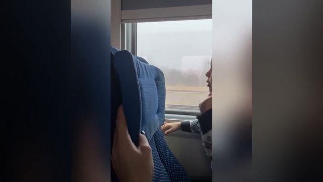 Едем в сидячем вагоне пассажирского поезда смотреть онлайн