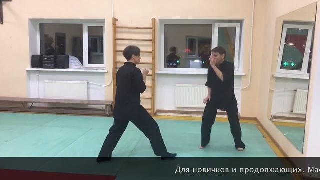 Тренировка на тему: Удар пальцами ноги в область гортани с разворота - "Цай" (змея) смотреть онлайн