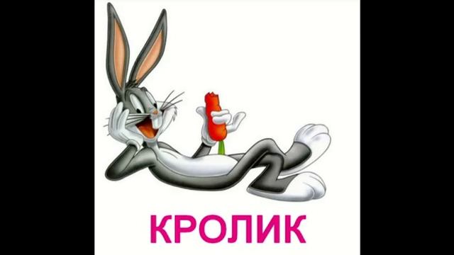 Домашние животные для малышей. Презентация по Доману смотреть онлайн