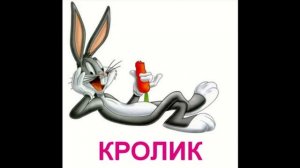 Домашние животные для малышей. Презентация по Доману