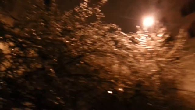 Обледеневшие деревья в Москве. Frozen trees in Moscow. (13.11.2016) смотреть онлайн
