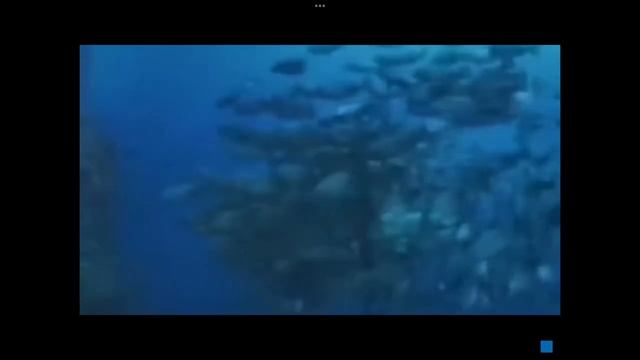 Life Could Be A Dream