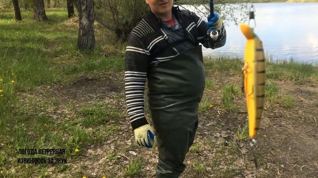 рыбалка на Оби Кастинговой сетью 6м диаметром! смотреть онлайн