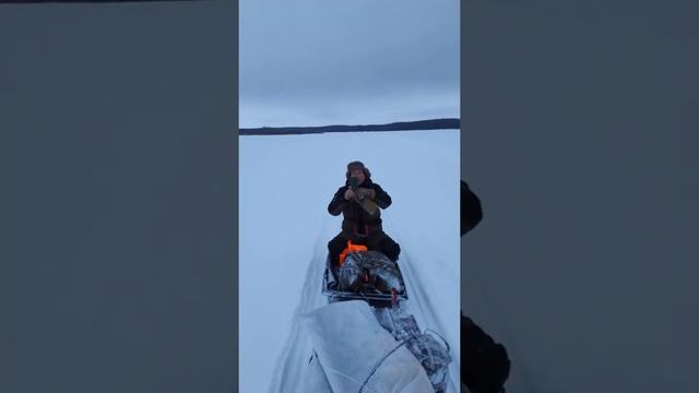 Форза 13 мотособака смотреть онлайн