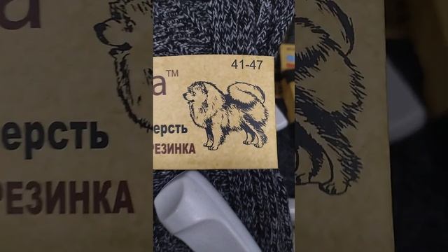 Собака или Верблюд смотреть онлайн