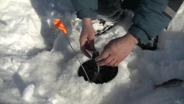 Ловля крупной щуки на жерлицы. смотреть онлайн