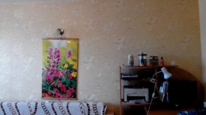 Настенный пленочный обогреватель-картина Домашний очаг, отзыв.