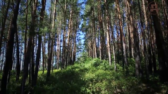 Легенды Гардарики смотреть онлайн