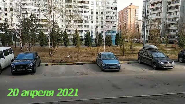 ТАЙМЛАПС! 3 Месяца За 1 Минуту! Интересно! Ждем Новые Клипы! смотреть онлайн