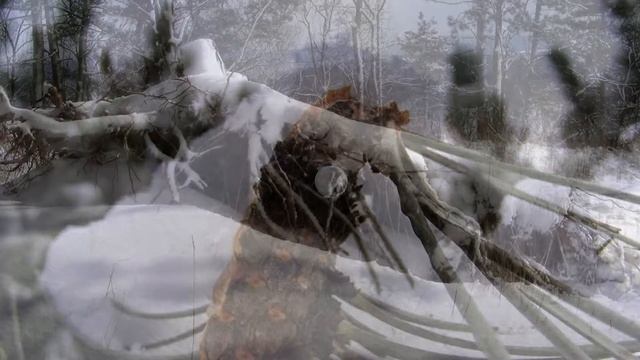 ВИЗУАЛЬНАЯ МЕДИТАЦИЯ -- Зимушка-зима смотреть онлайн