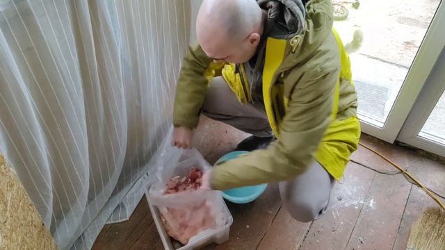 НЕ СМОГЛИ СПАСТИ ХАСКИ \ КАК КОРМИТЬ щенков хаски смотреть онлайн