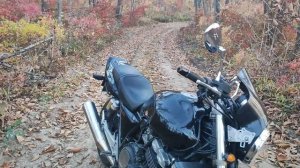 Honda CB400SF - Стоит ли покупать 30 летний мотоцикл?