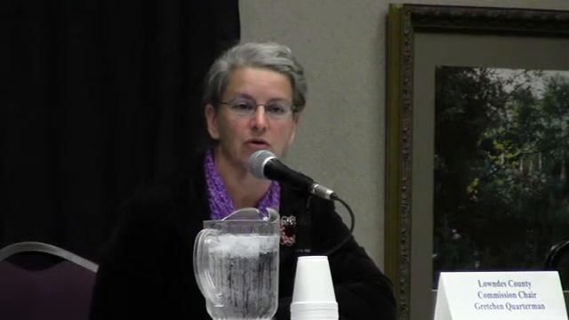 Countywide? --Gretchen Quarterman (D) Lowndes County Commission Chairman @ HBA 2012-10-18 смотреть онлайн