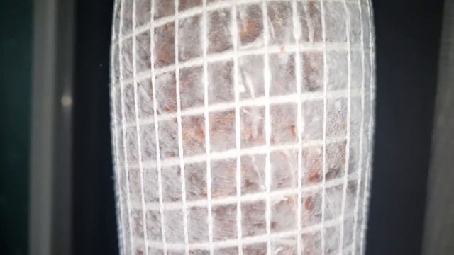 Сыровяленное мясо обработка благородной плесенью! смотреть онлайн