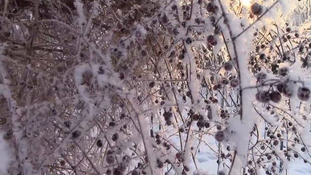 Зима 2017 года. Влог. Молдова Морозная и красивая зима! смотреть онлайн