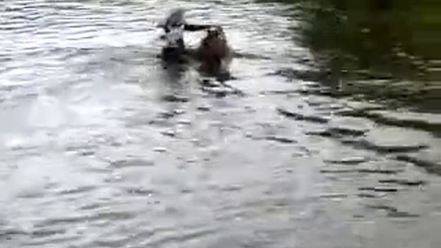 Воду на кане!!!!!!!!!!!!!!!!!!!!! смотреть онлайн