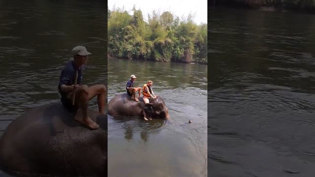 Река Квай март 2020 смотреть онлайн