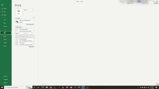How to use print preview in Excel 2019 смотреть онлайн