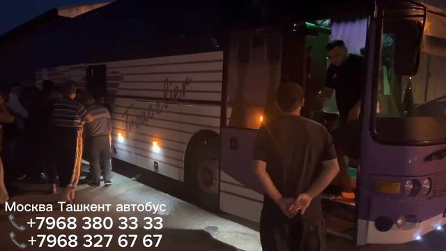 Москва Узбекистан автобус ! Москва Ташкент автобус #автобус #мусофир смотреть онлайн