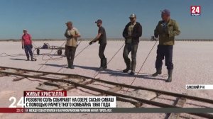 Розовую соль собирают на озере Сасык-Сиваш с помощью раритетного комбайна 1960 года