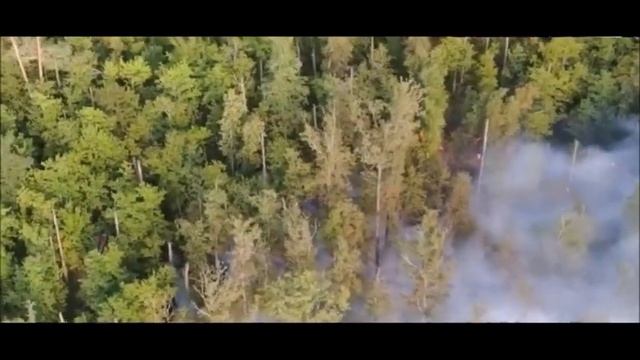 Пожар охватил биосферный заповедник в России. Животные и растения под угрозой Горит лесостепная зон смотреть онлайн