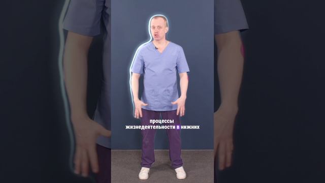 Целлюлит: что это такое и как от него избавиться? смотреть онлайн