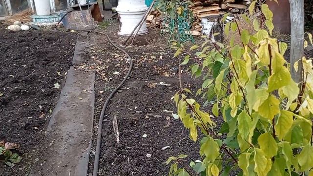 Мы хотим все одного .Осенний обзор нашего двора ./ Мама Гуля / смотреть онлайн