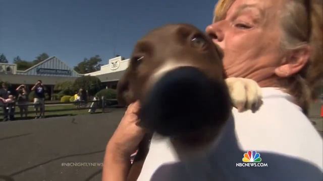 Chelsea Marshall on NBC Nightly News 11-19-14 смотреть онлайн