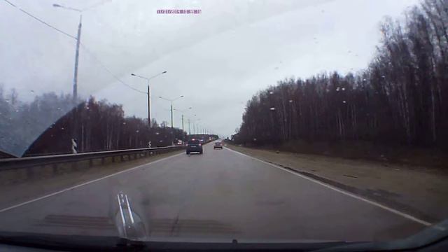 Лось на M-2 11.01.14 смотреть онлайн