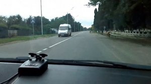 Священные животные Абхазии