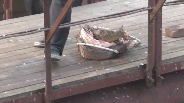 Астраханские приключения! Часть 1 смотреть онлайн