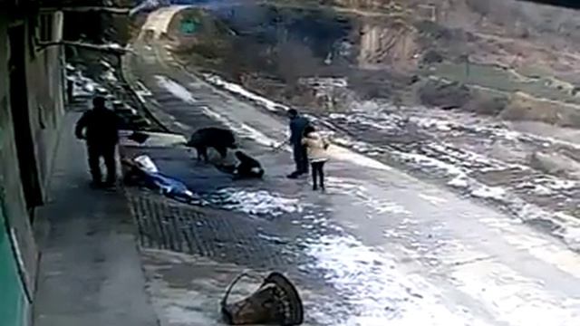 Кабан нападает на людей!!! смотреть онлайн