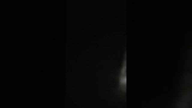 ЕСЛИ СОСЕДСКИЕ СОБАКИ НЕ ДАЮТ ВАМ СПАТЬ!? смотреть онлайн