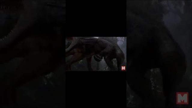 10 самых больших животных смотреть онлайн