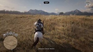 RED DEAD ONLINE — ОБЗОР ГЛАЗАМИ НОВИЧКА