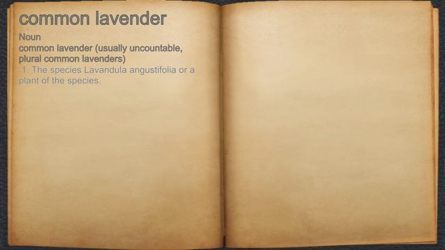 What does common lavender mean? смотреть онлайн