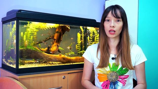 Как выбрать домашнее животное для ребенка с аллергией? смотреть онлайн