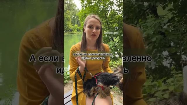 Подготовка к УЗИ сердца и сосудов смотреть онлайн
