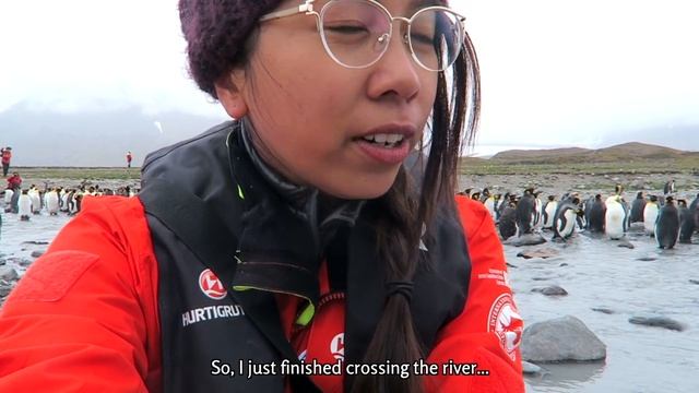 Surrounded by a MILLION of Wild Penguins! | Part 4 of 6 ~ Antarctica Expedition смотреть онлайн