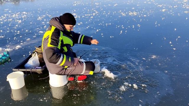 ЗИМНЯЯ РЫБАЛКА В КАЛИНИНГРАДСКОЙ ОБЛАСТИ НА ВОДОХРАНИЛИЩЕ#рыбалка#fishing#рыбак#рыба#fishingtips