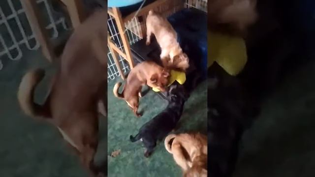 Игра "Царь горы" смотреть онлайн